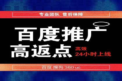 SEM竞价代运营成功案例解析